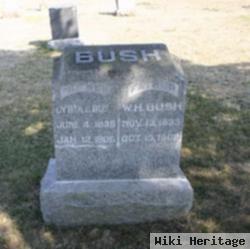 William H Bush