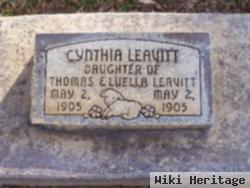 Cynthia Leavitt