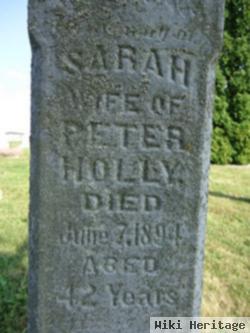 Sarah Ann Hazen Holly