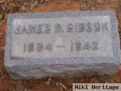 James B. Gibson