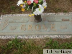 Nellie M Grove