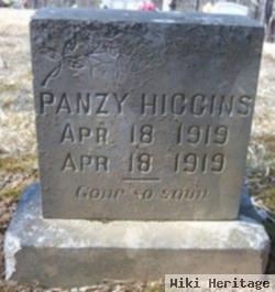 Panzy Higgins