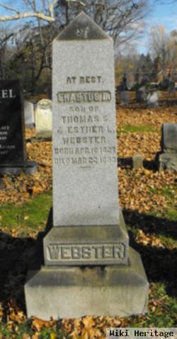 Erastus D Webster