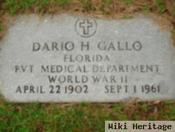 Dario Henry Gallo