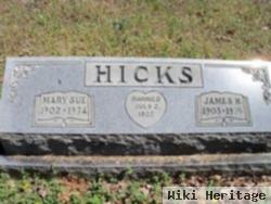 James H Hicks