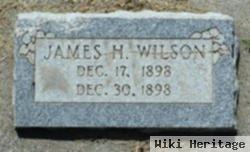 James Hamilton Wilson