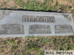 Louis Frank Herzing