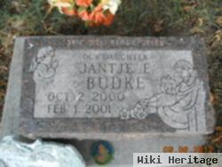 Jantje E. Budke