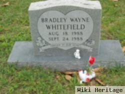 Bradley Wayne Whitefield