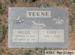 Nellie Albers Teune