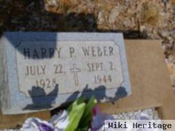 Harry Paul Weber