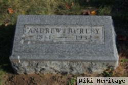 Andrew Burley