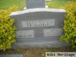 Roy Halsey