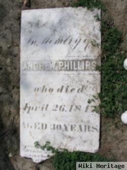 Andrew Phillips