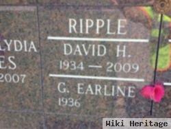 David H. Ripple