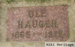 Ole Haugen