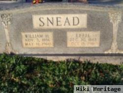 William Henry Snead