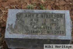 Amy E Atkinson