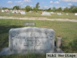 Nettie Jane Mathison Chappell