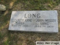 Elizabeth Anne Gibbs Long