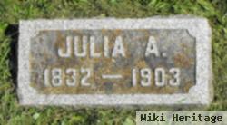 Julia A Stebbins Van Name