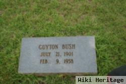 Guyton Bush