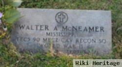 Walter Allen Mcnemar