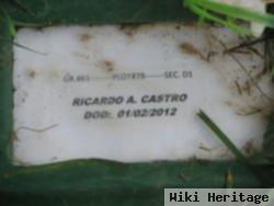 Ricardo A Castro