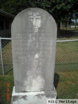 Elizabeth Ann "lizzie" Conley Mcdermott