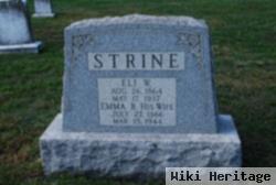 Eli W. Strine