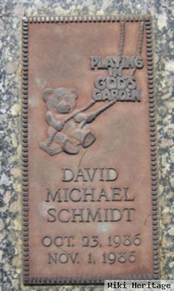 David Michael Schmidt