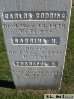 Sabrina Harvey Godding