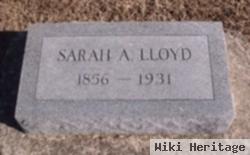 Sarah A Lloyd