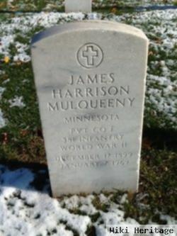 James Harrison Mulqueeny