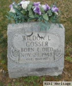 Weldon L. Gosser