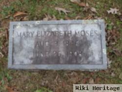 Mary Elizabeth Jones Moses