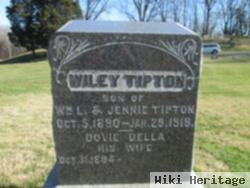 Wiley Edward Tipton