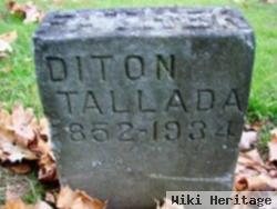 Diton Tallada