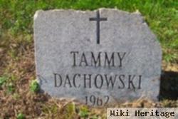 Tammy Dachowski