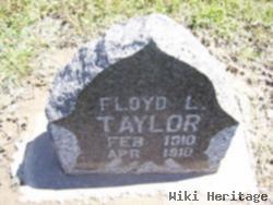 Floyd Lincoln Taylor