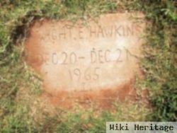 Dwight E. Hawkins