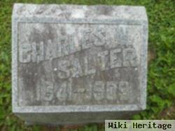 Charles William Salter