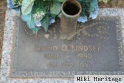 David D Lindsey