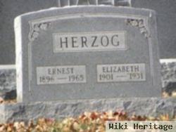 Elizabeth Miller Herzog