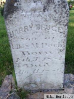 Harry Bruce Peck