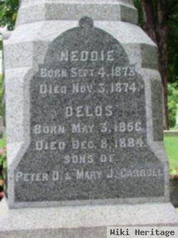 Delos Carroll