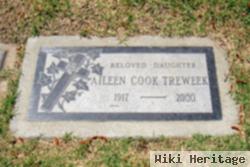 Aileen Treweek