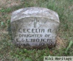 Cecelia Ann Wojcik