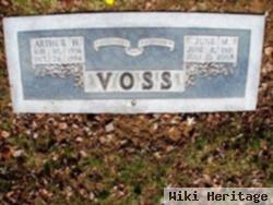 June M. Borgelt Voss