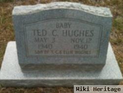 Ted Carroll Hughes